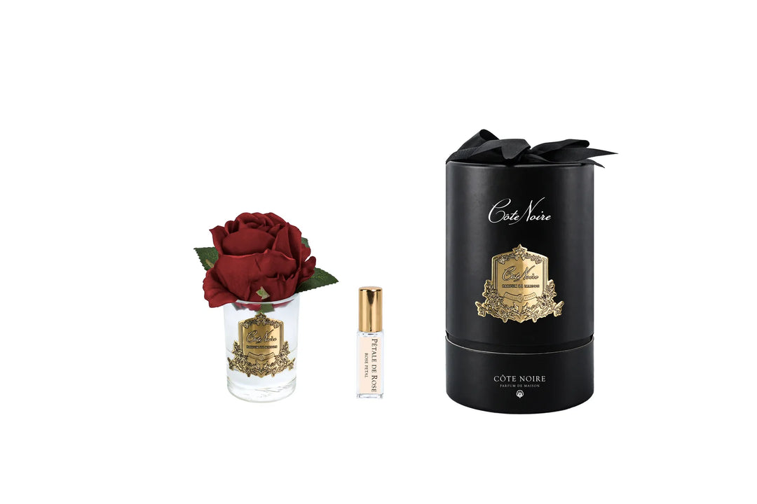 Rose Bud In Clear Red - Black Box / Gold