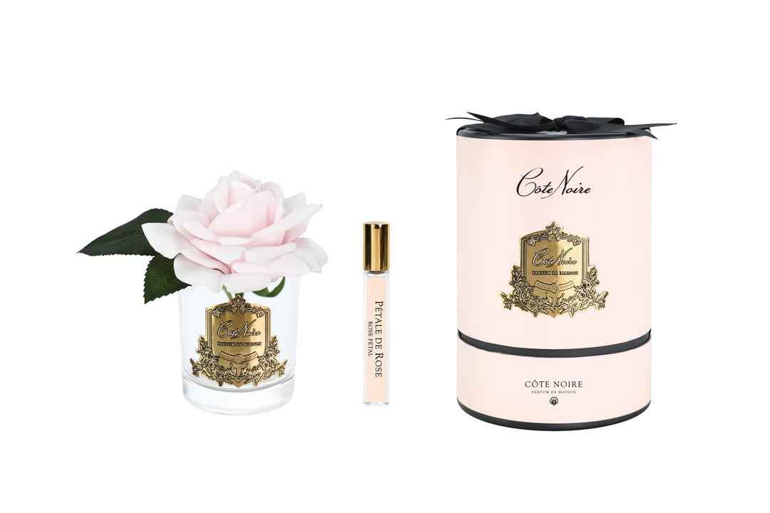 French Rose In Clear French Pink - Pink Box / Gold