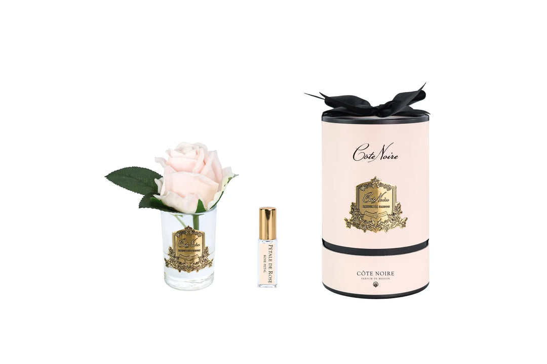 Rose Bud In Clear Champagne Pink - Pink Box / Gold