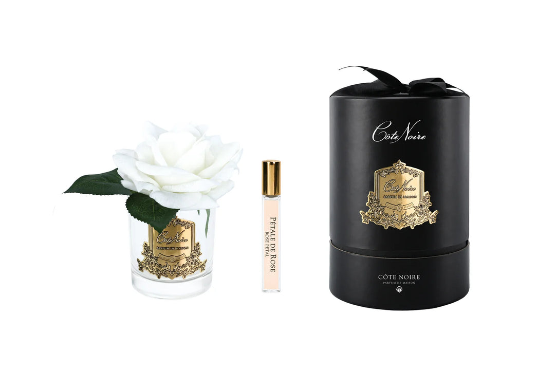 French Rose In Clear White - Black Box / Gold