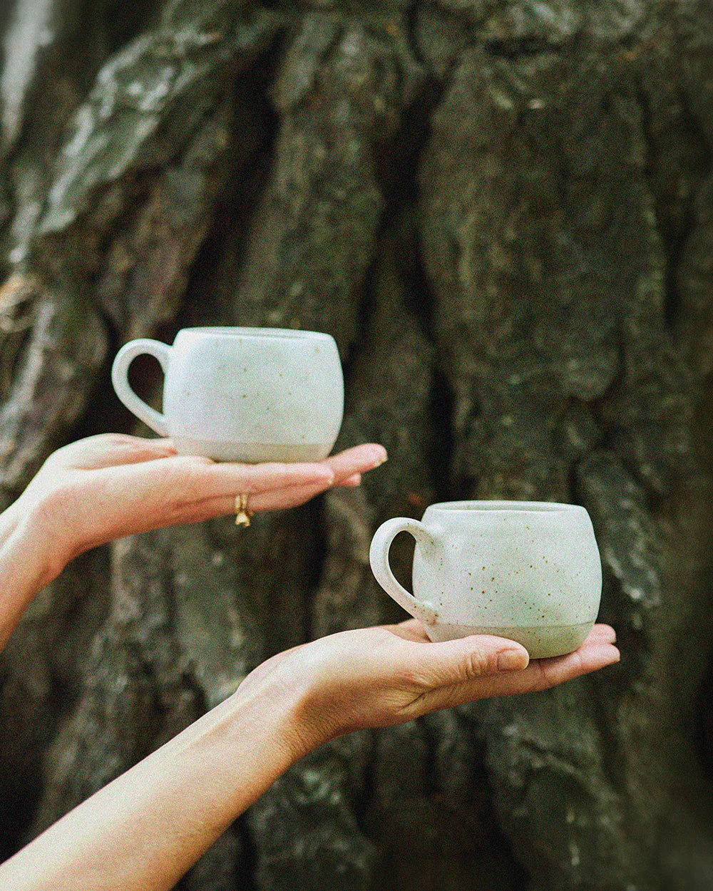 Mineral Mugs Salt S4