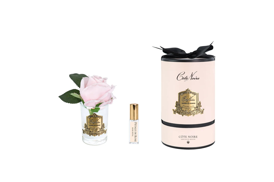 Rose Bud In Clear French Pink - Pink Box / Gold