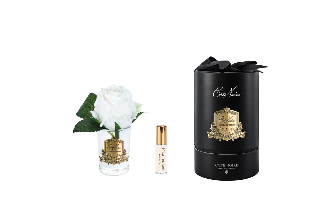 Rose Bud In Clear White - Black Box / Gold