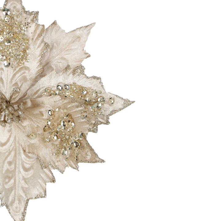 Stella Clip on Poinsettia Champagne 25cm