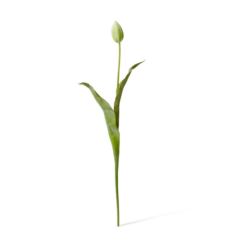 Tulip Stem 9x3x74cm Green