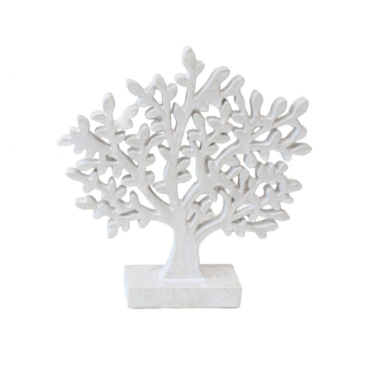 Olive Tree Asstd - per piece
