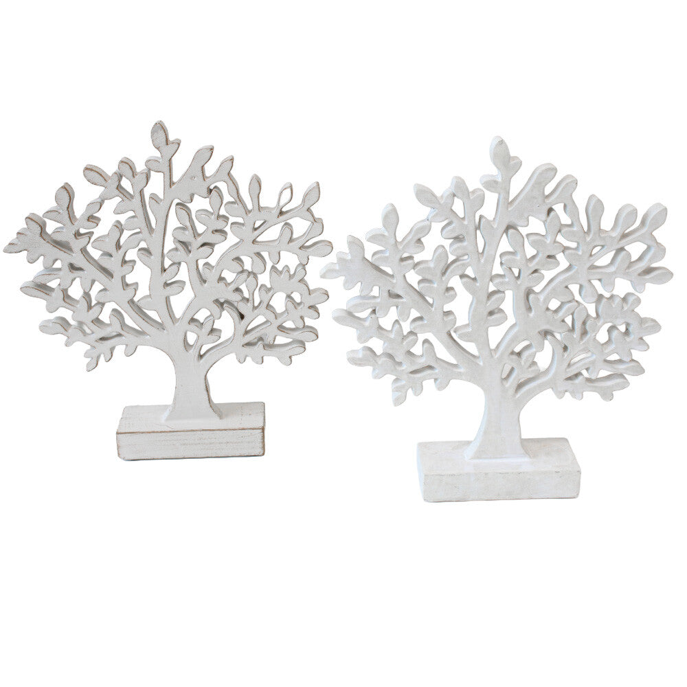 Olive Tree Asstd - per piece
