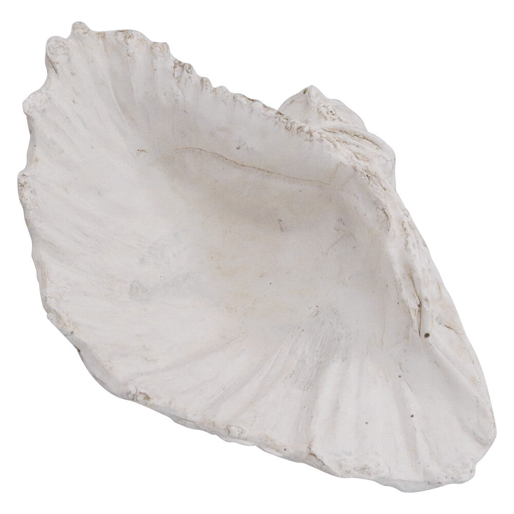 Clam Shell Washed Med