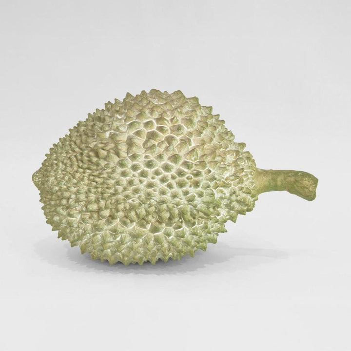 Durian Resin Green L:30 W:19 H:16