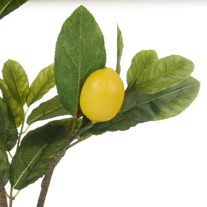 Lemon Spray 91x30x30cm