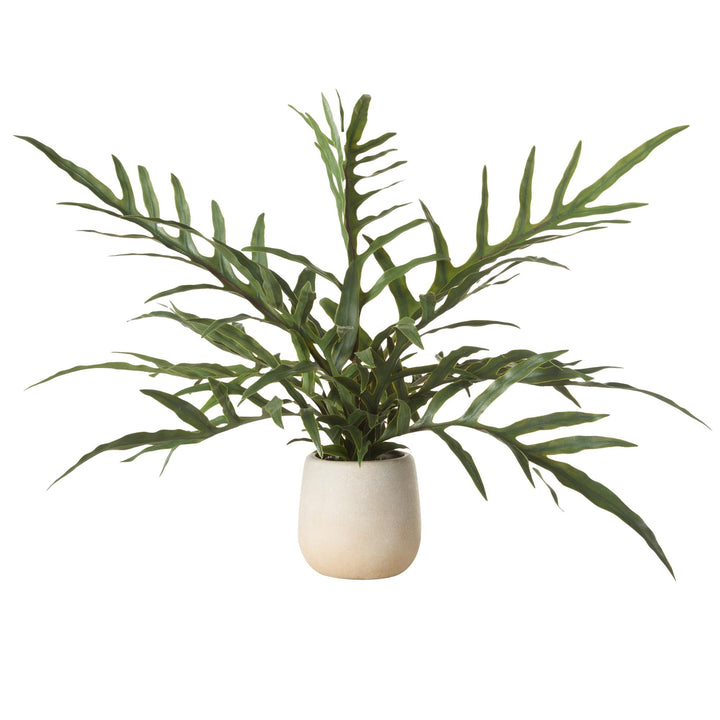 Blue Star Fern Pot 46x26x26cm