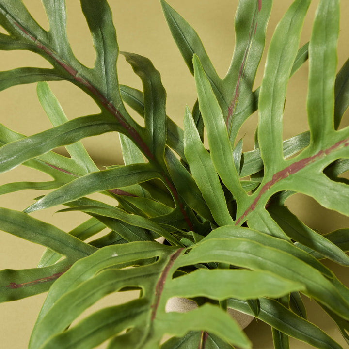 Blue Star Fern Pot 46x26x26cm