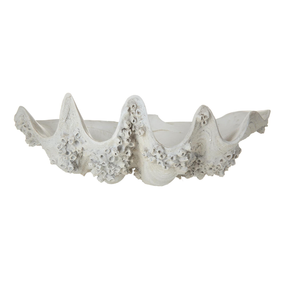 Seychelles Clam Vessel 52x28x18cm Antique White