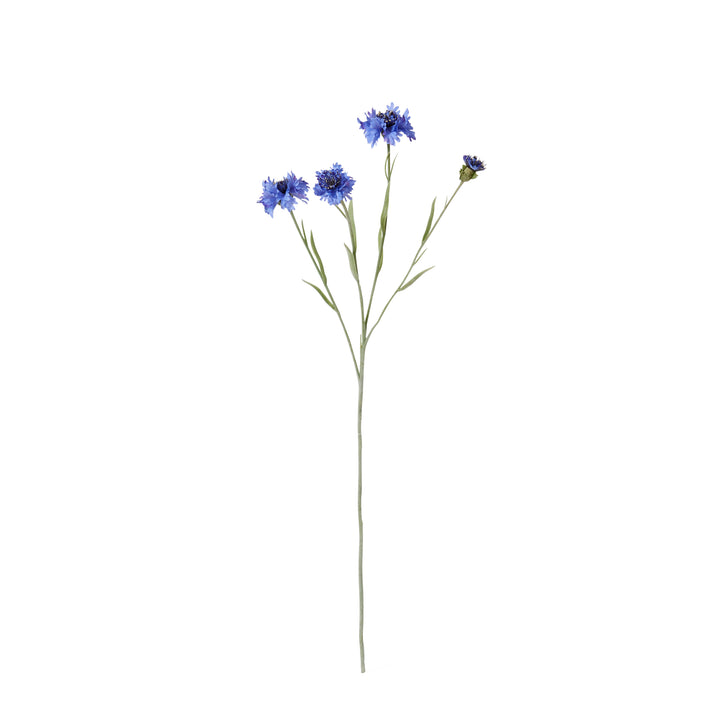 Corn Flower Spray 8x3x61cm Blue