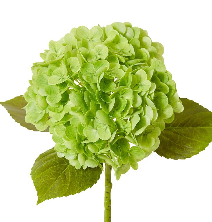 Hydrangea Classic Stem 30x20x52cm Dark Green