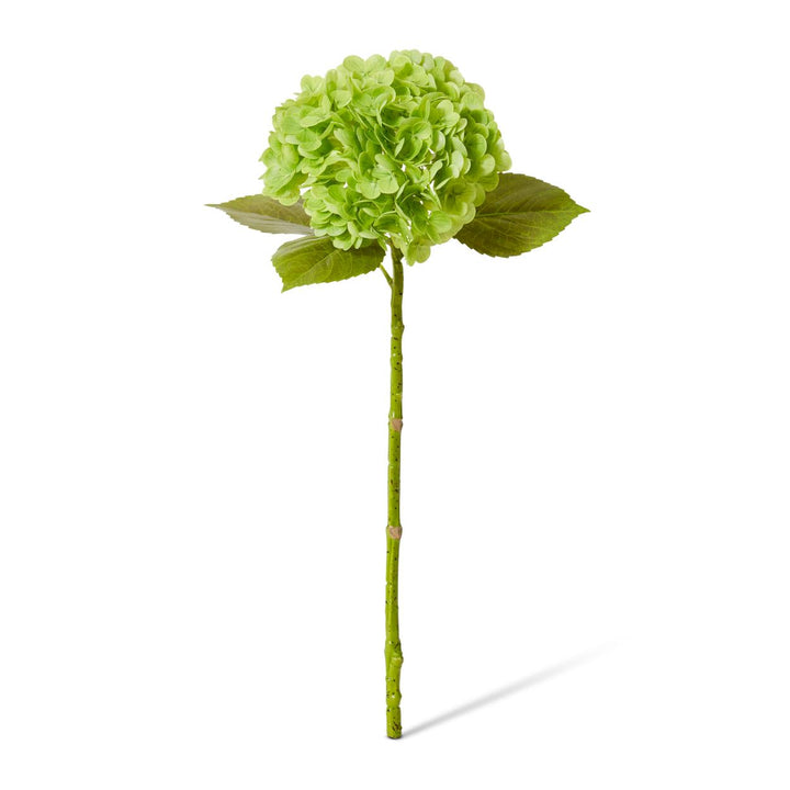 Hydrangea Classic Stem 30x20x52cm Dark Green