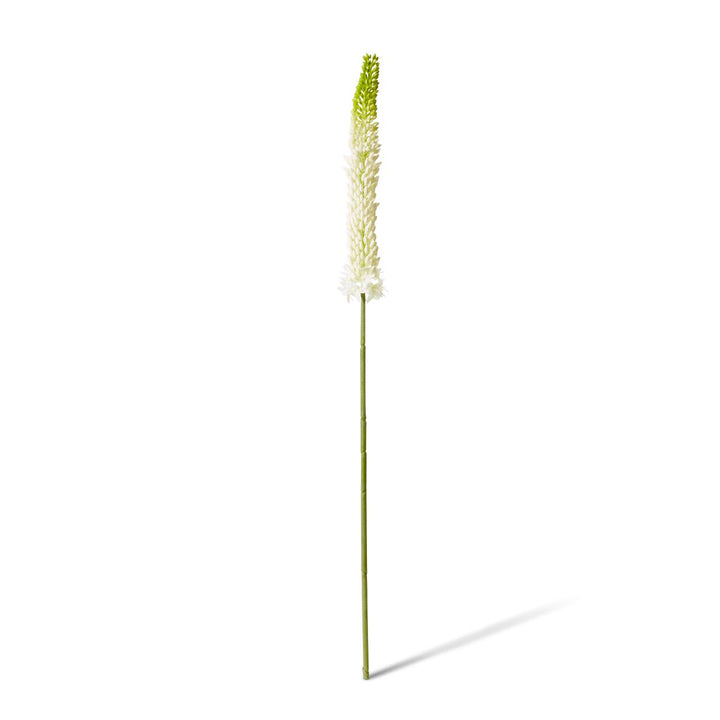 Foxtail Lily Stem 10x7x84cm Green/White