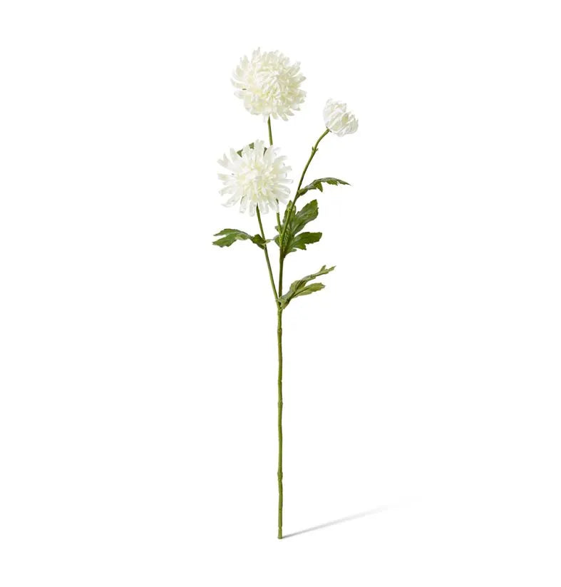 Chrysanthemum White Spray 16x9x64cm