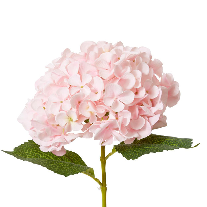 Hydrangea Garden Large Stem 19x31x65cm Pink