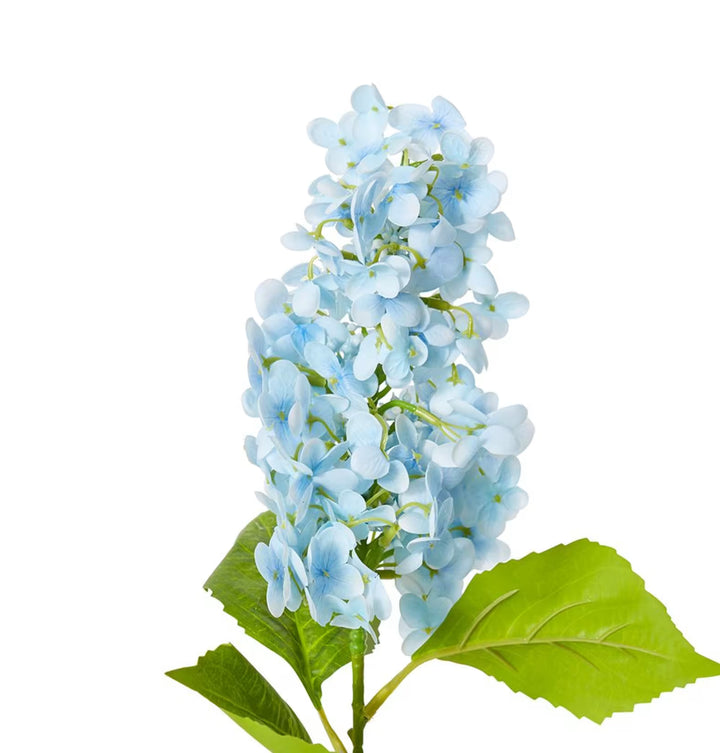 Cone Hydrangea (RT) 20x20x75cm Blue
