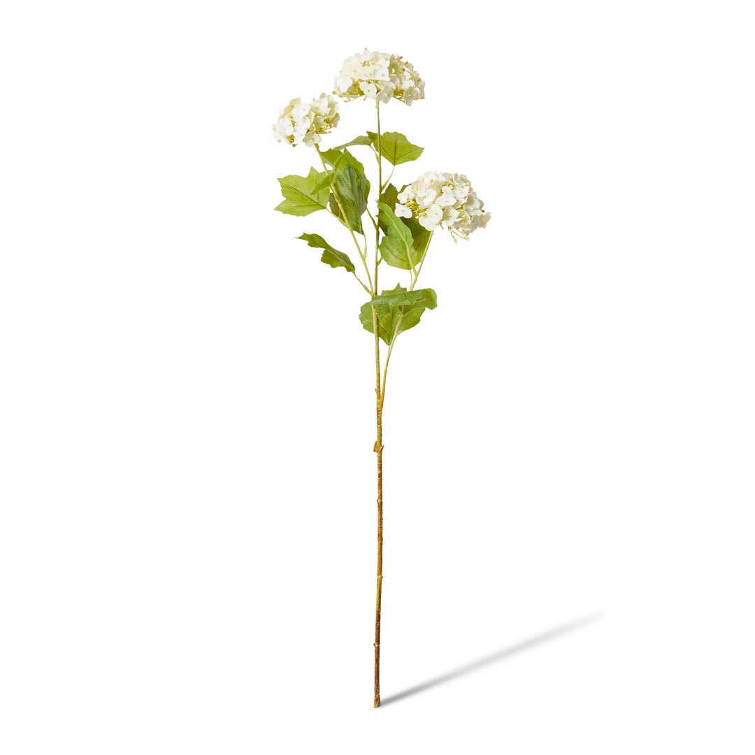 Snowball Spray White/Soft Green 26x18x68cm