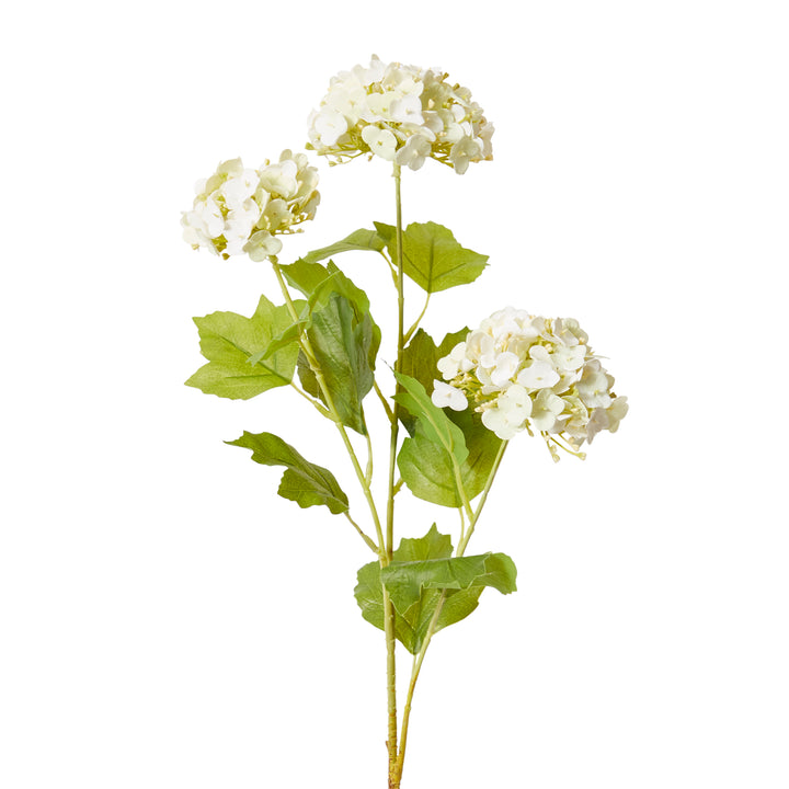 Snowball Spray White/Soft Green 26x18x68cm