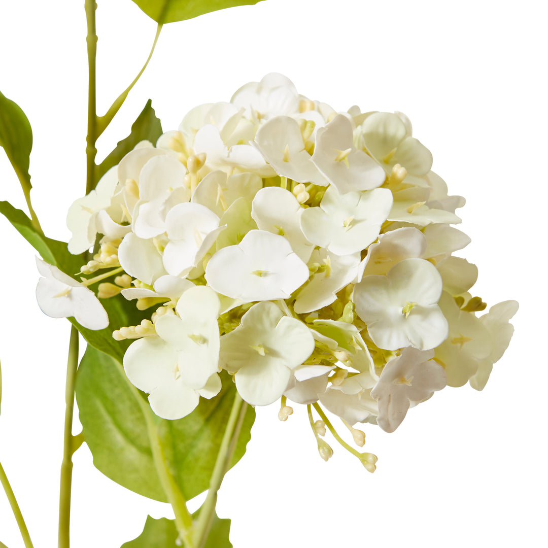 Snowball Spray White/Soft Green 26x18x68cm