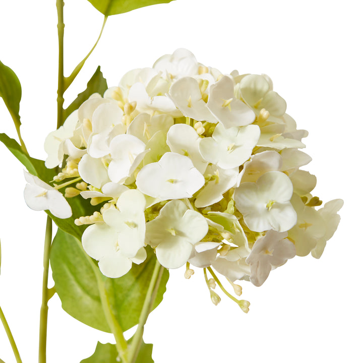 Snowball Spray White/Soft Green 26x18x68cm