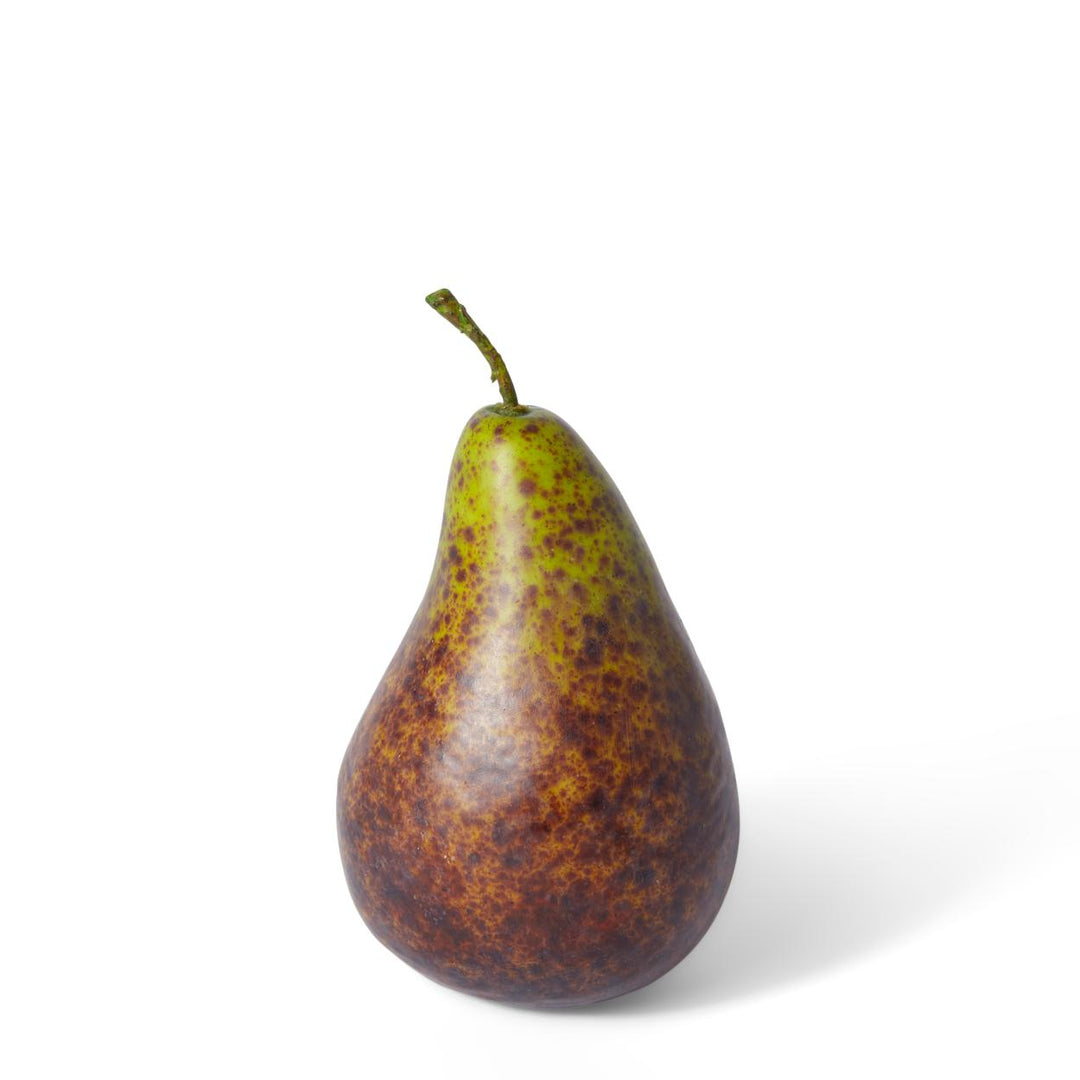 Pear Bartlet 7x7x13cm Brown