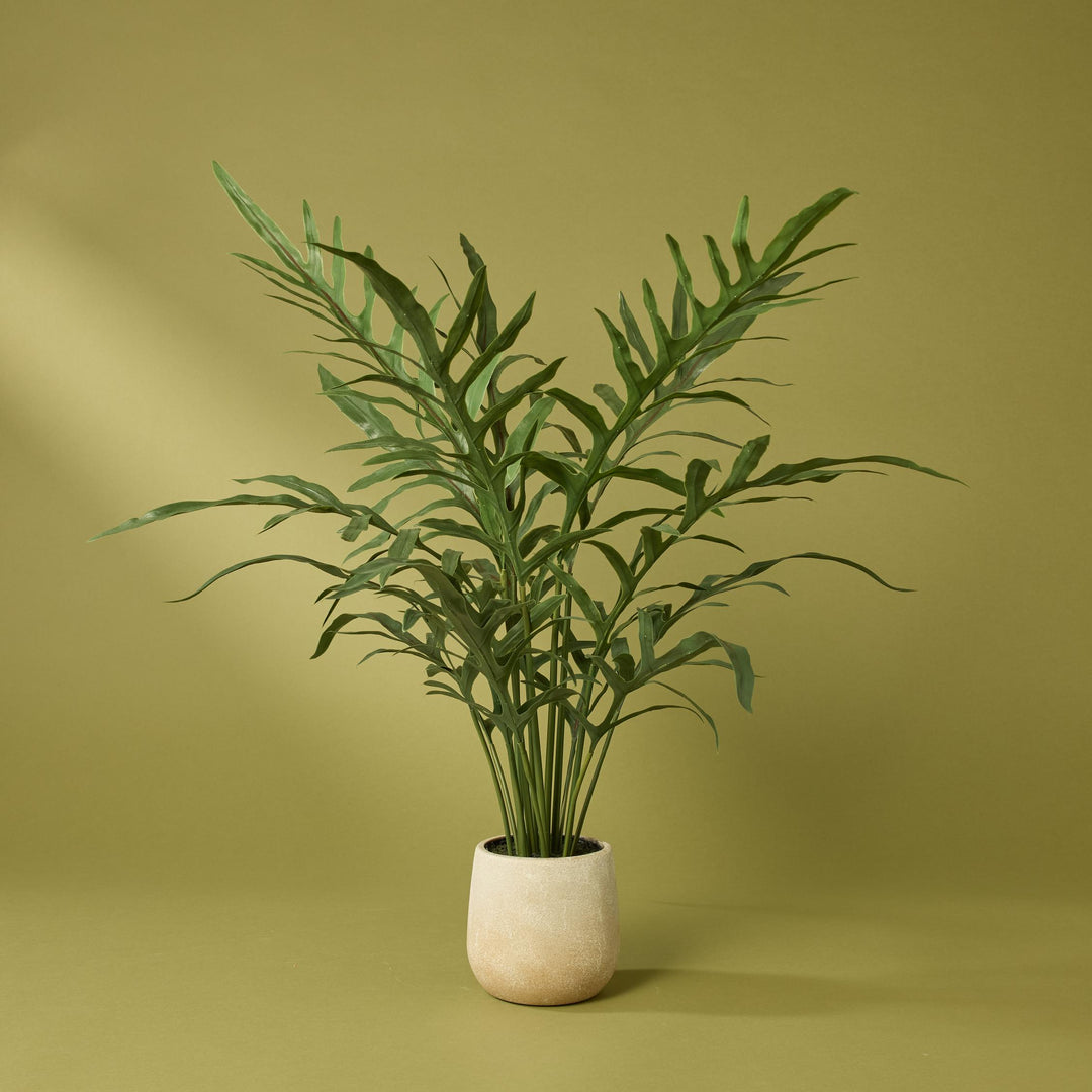 Blue Star Fern Pot 46x46x81cm