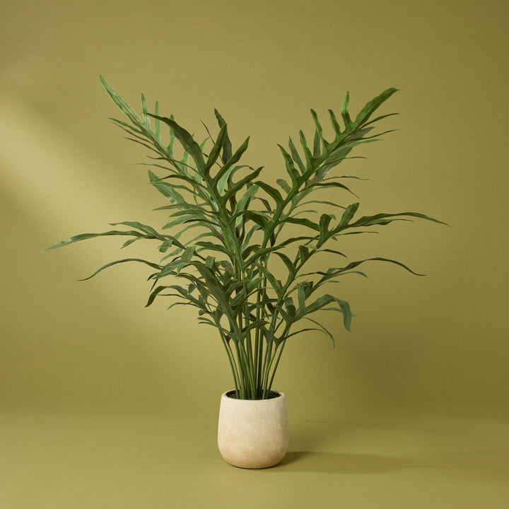 Blue Star Fern Pot 46x46x81cm