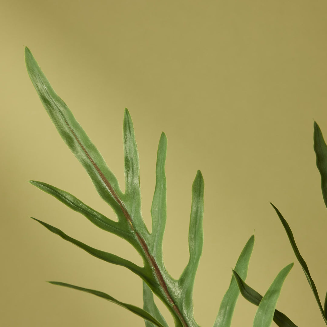 Blue Star Fern Pot 46x46x81cm
