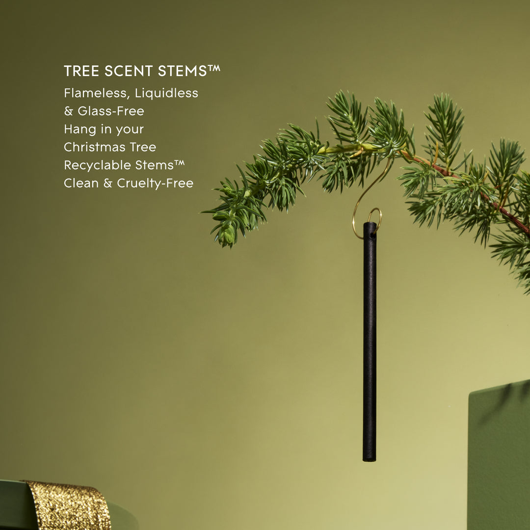 Glasshouse Fragrances 10 Tree Scent Stems - Christmas - Winter Wonderland