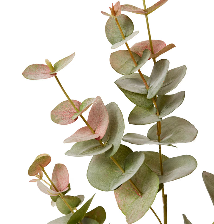Eucalyptus Spray 25x14x86cm Green Pink