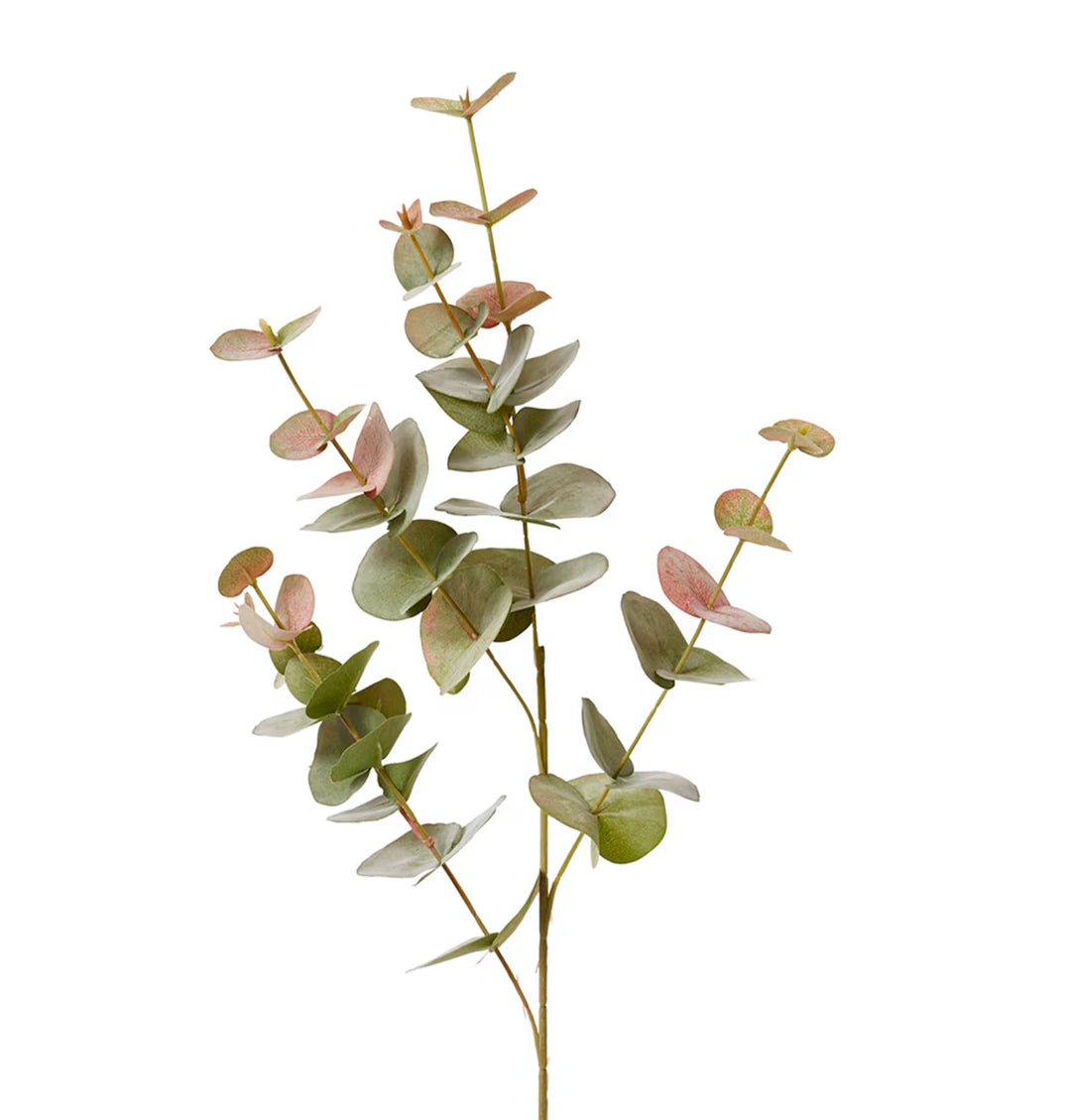 Eucalyptus Spray 25x14x86cm Green Pink