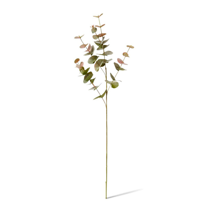 Eucalyptus Spray 25x14x86cm Green Pink
