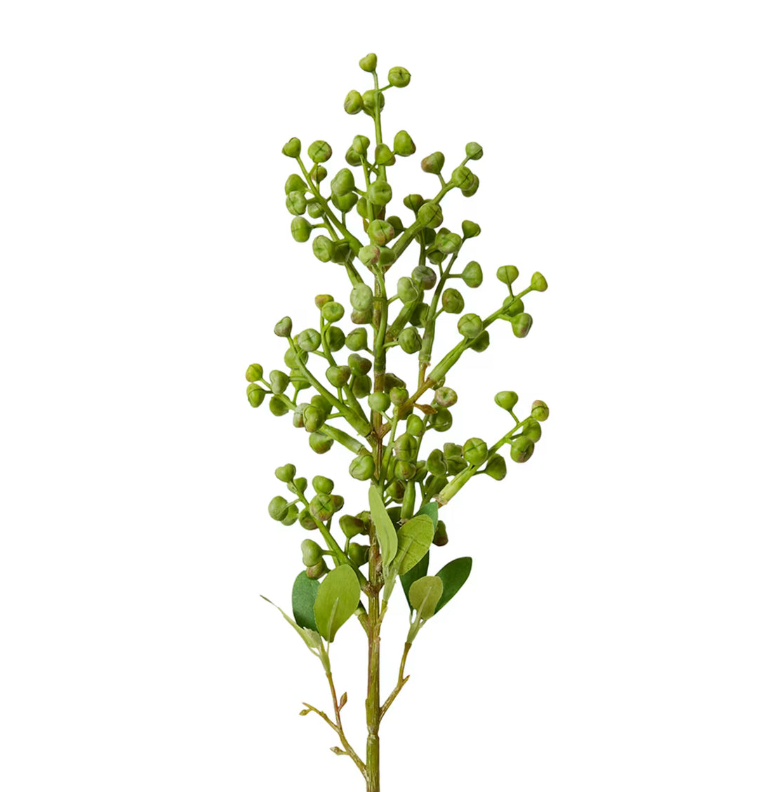Eucy Nut Pick 10x7x53cm Green