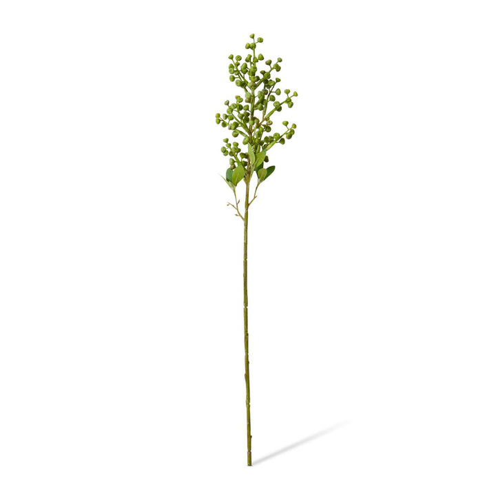 Eucy Nut Pick 10x7x53cm Green