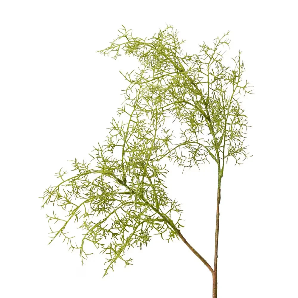 Smoke Tree Spray 40x26x81cm Green