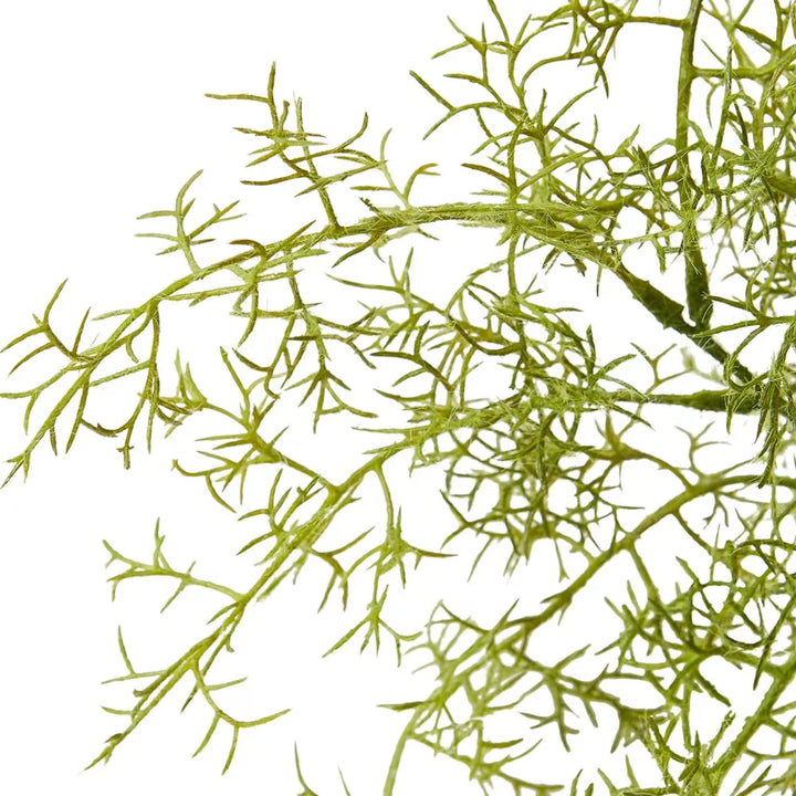Smoke Tree Spray 40x26x81cm Green