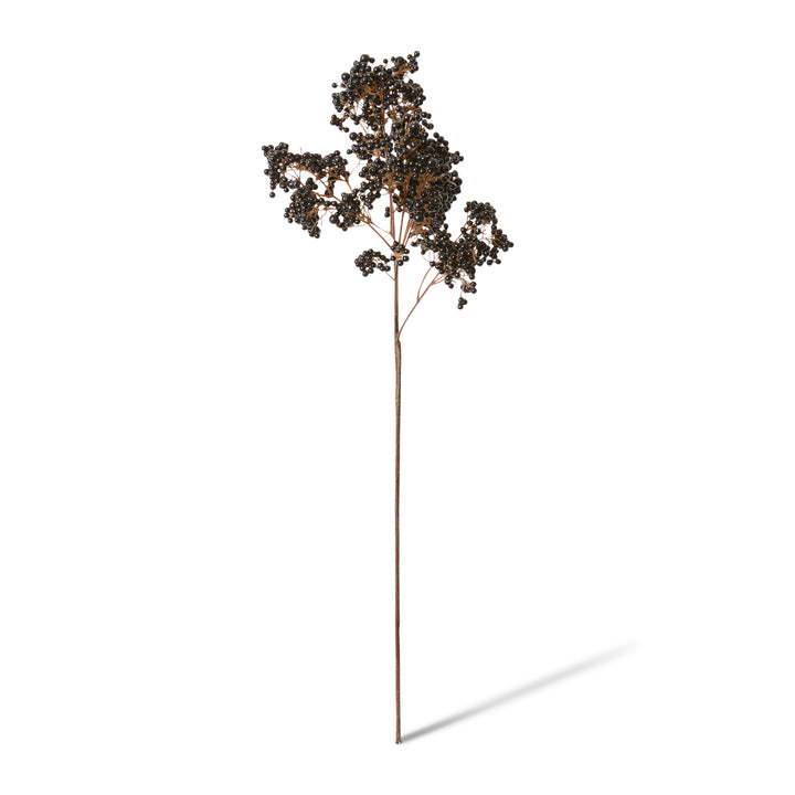 Elderberry Stem Burgundy 26x22x61cm