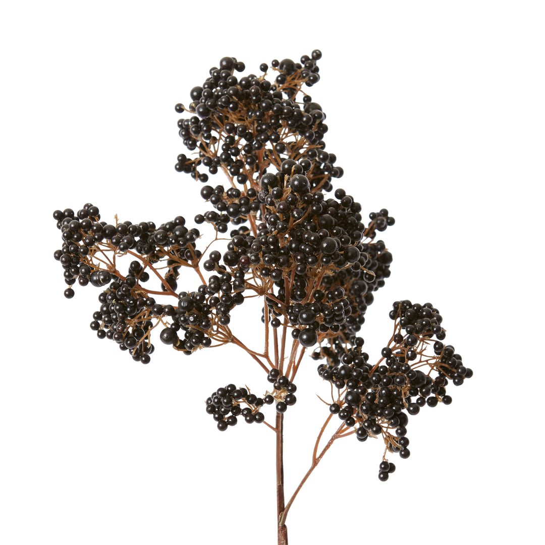Elderberry Stem Burgundy 26x22x61cm
