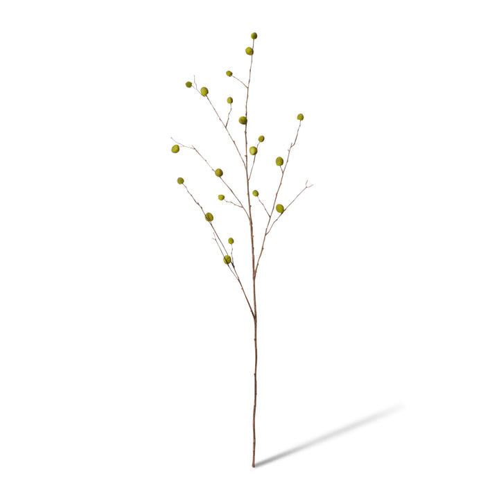 Berry Pod Dried Look Branch Green 20x8x108cm