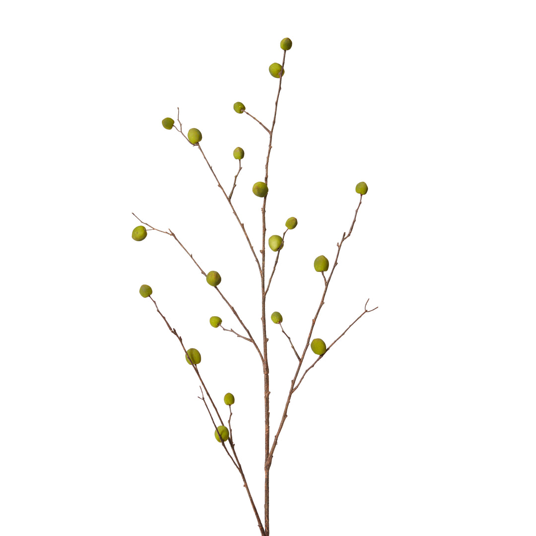Berry Pod Dried Look Branch Green 20x8x108cm