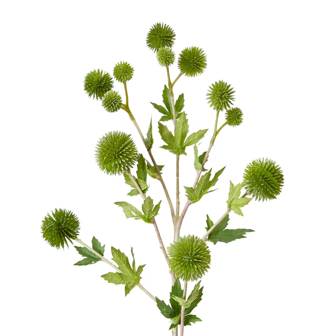 Thistle Ball Spray 18x12x66cm Green