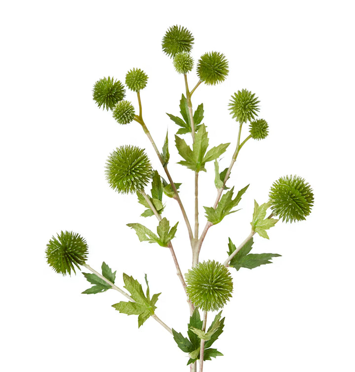 Thistle Ball Spray 18x12x66cm Green