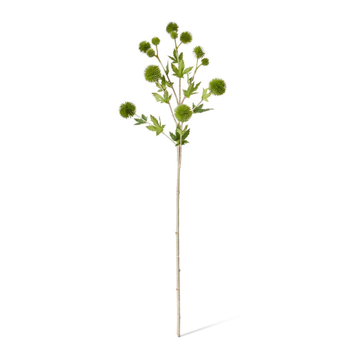 Thistle Ball Spray 18x12x66cm Green