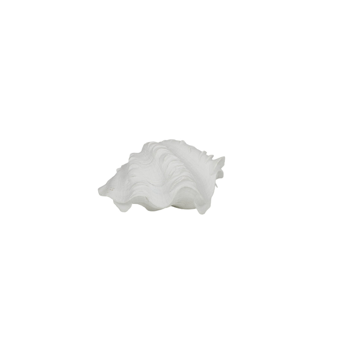 Clam Resin Shell 14x7x10cm White