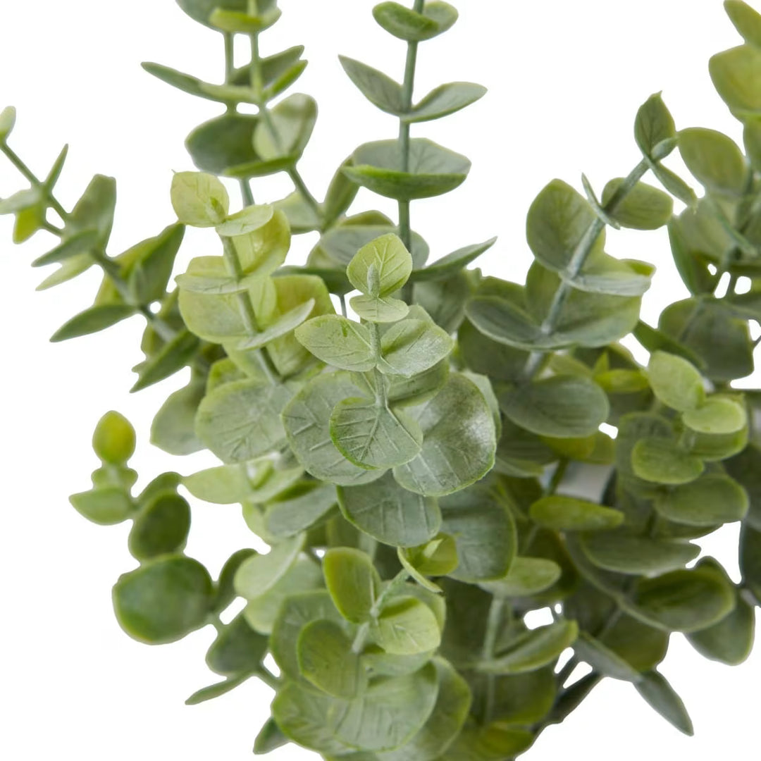 Eucalyptus Bush 15x15x24cm Green