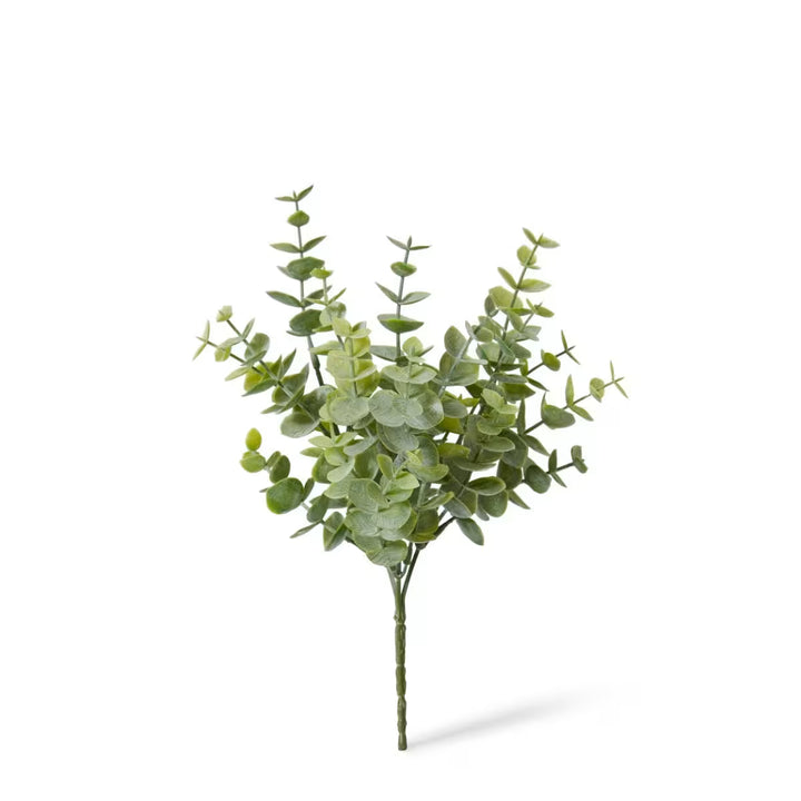 Eucalyptus Bush 15x15x24cm Green
